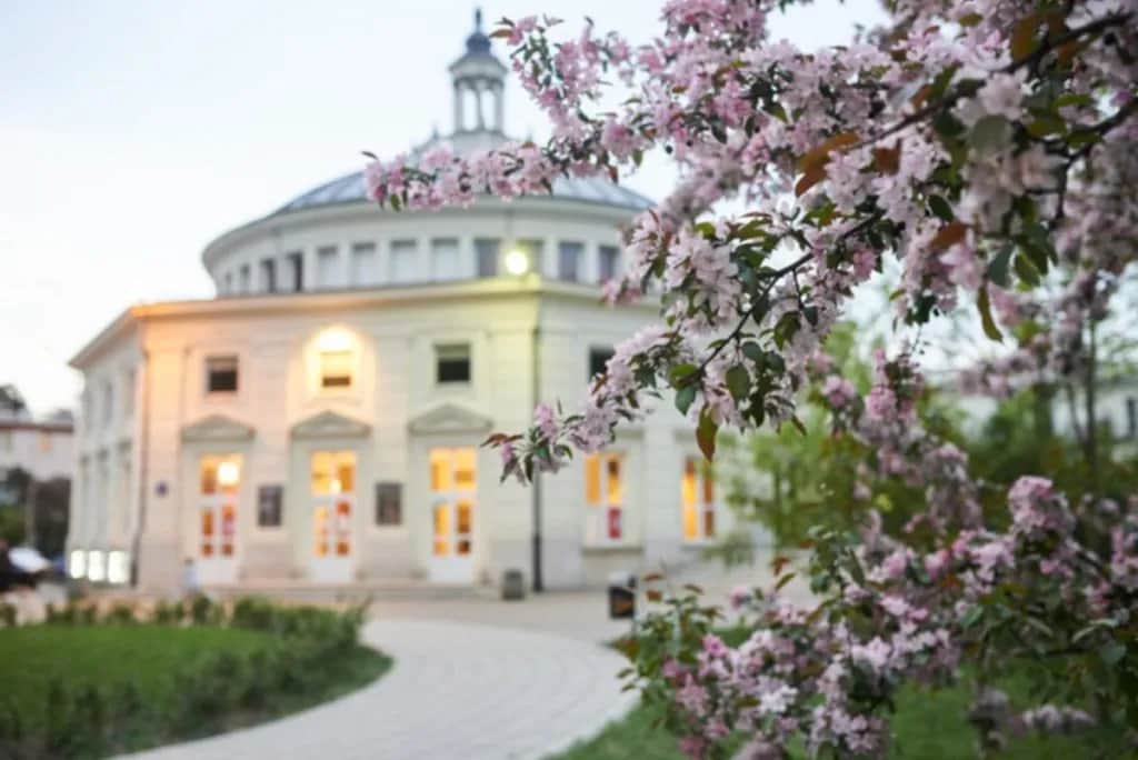 Sąd zawiadamia o odrzuceniu spadku? Sprawdź, kiedy i kogo!